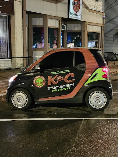 K&C Rochester Tree and Landscape Image